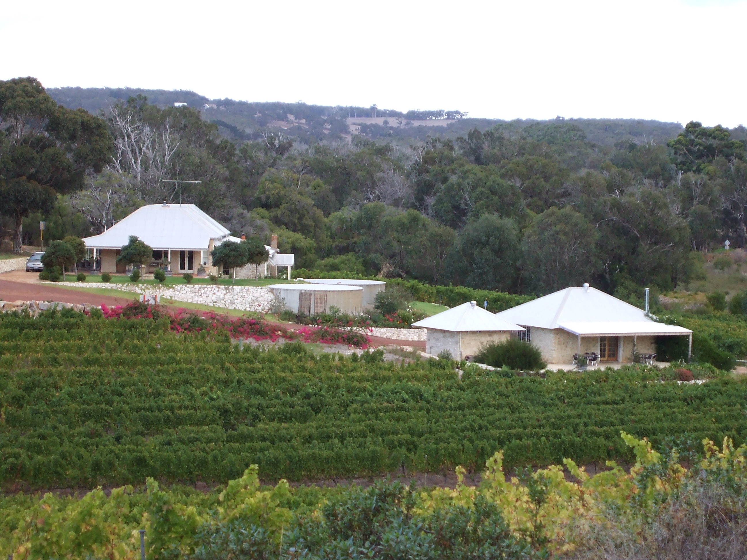 Cape Naturaliste Vineyard